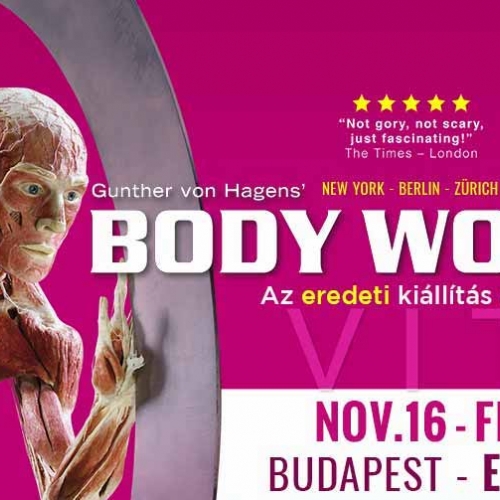BODY WORLDS kiállítás 2022