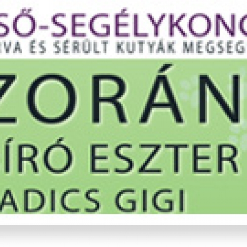 Első-segélykoncert az árva és sérült kutyák megsegítésére