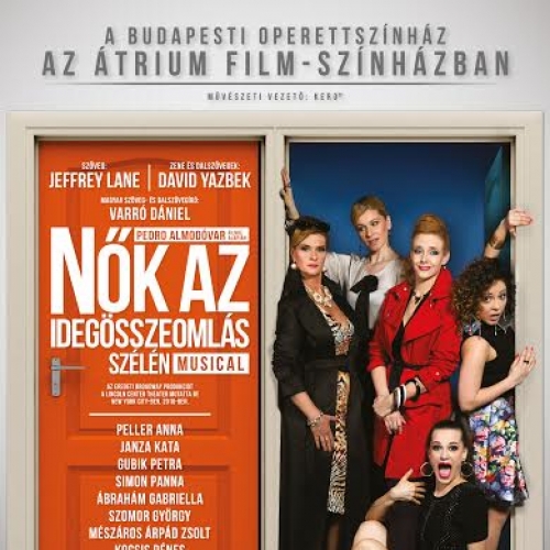 Nők az idegösszeomlás szélén musical