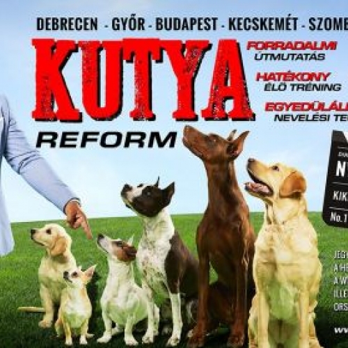 KUTYAREFORM -