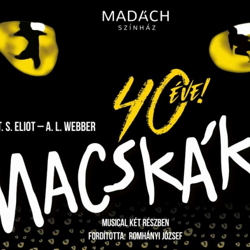 Macskák musical - Győr