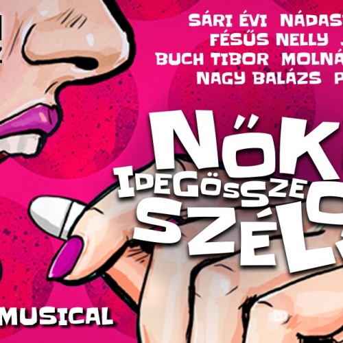 Nők az idegösszeomlás szélén musical