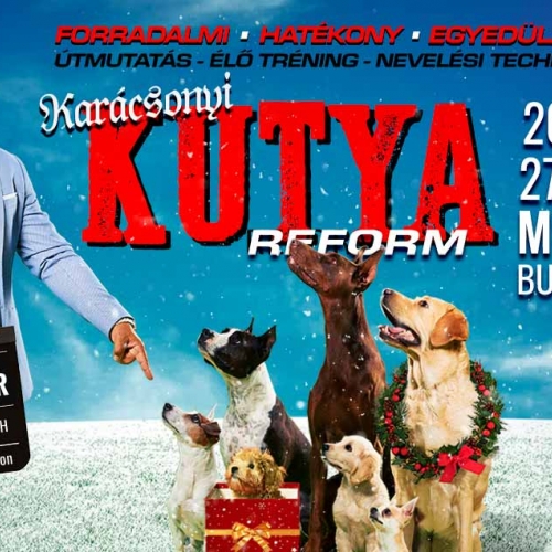 Karácsonyi Kutyareform Nyakas Gáborral - MOM Kult Karácsonyi Kutyareform Nyakas Gáborral - MOM Kult
