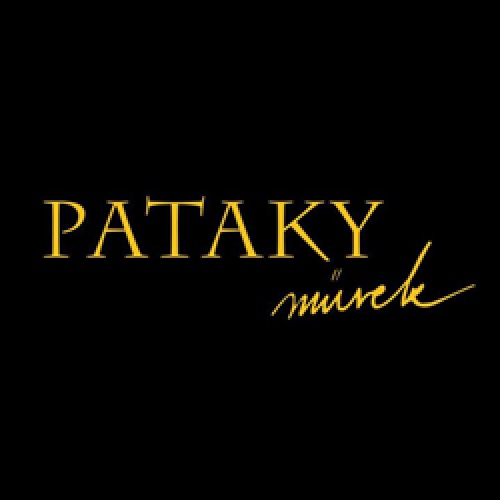 Pataky Művek koncert - Békéscsaba